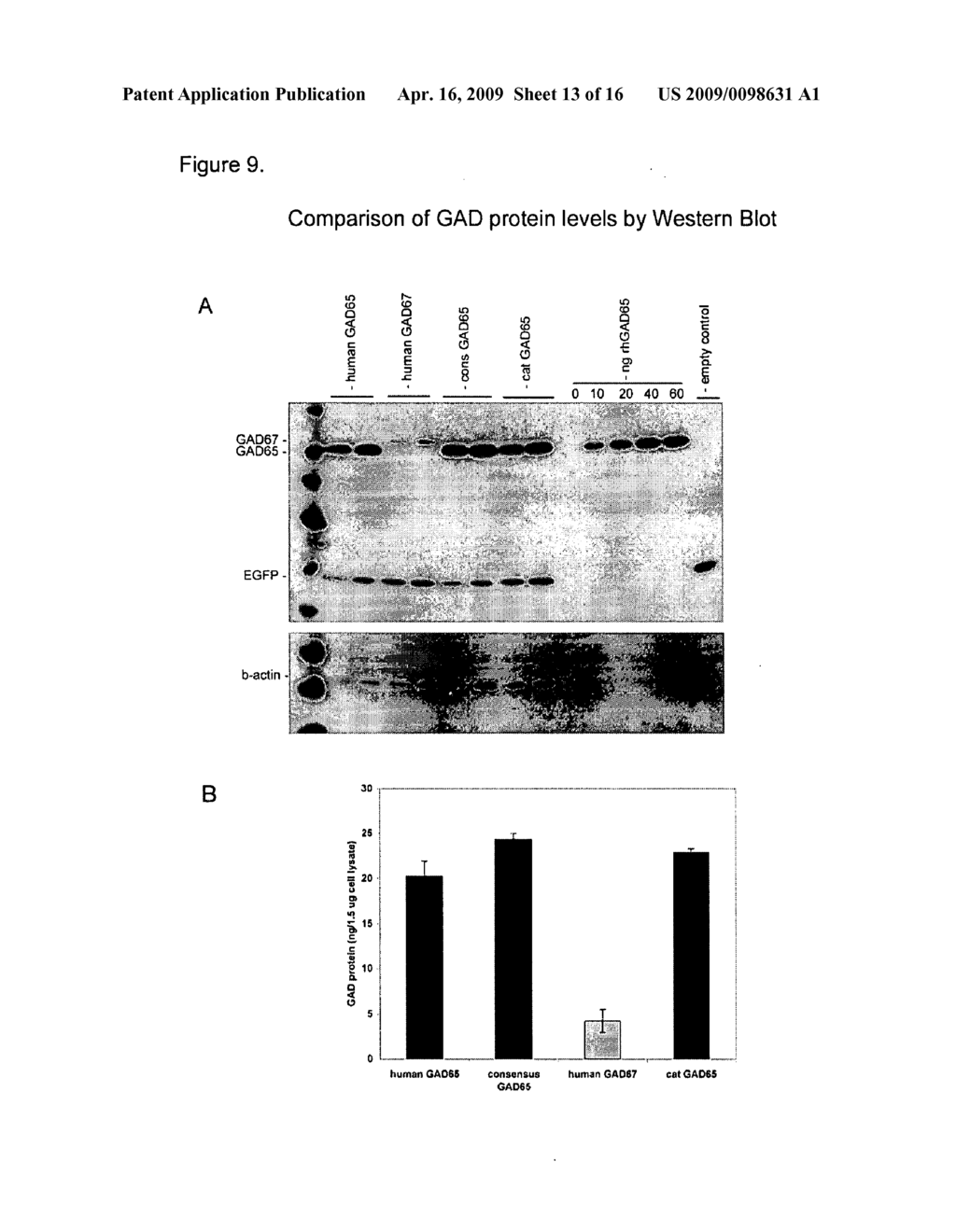 Novel glutamic acid decarboxylase (GAD) proteins and methods of use - diagram, schematic, and image 14