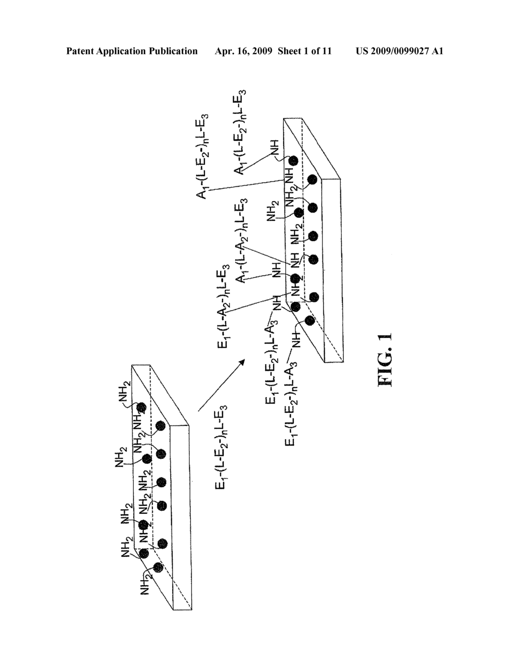 Methods of Modifying Support Surfaces for the Immobilization of Particles and the Use of the Immobilized Particles for Analyzing Nucleic Acids - diagram, schematic, and image 02