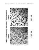 Methods of Modifying Support Surfaces for the Immobilization of Particles and the Use of the Immobilized Particles for Analyzing Nucleic Acids diagram and image