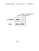 Pyrvinium For The Treatment of Cancer diagram and image