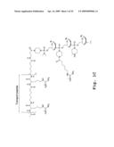 Tissue specific peptide conjugates and methods diagram and image