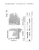 Tissue specific peptide conjugates and methods diagram and image