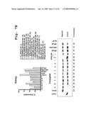 Tissue specific peptide conjugates and methods diagram and image