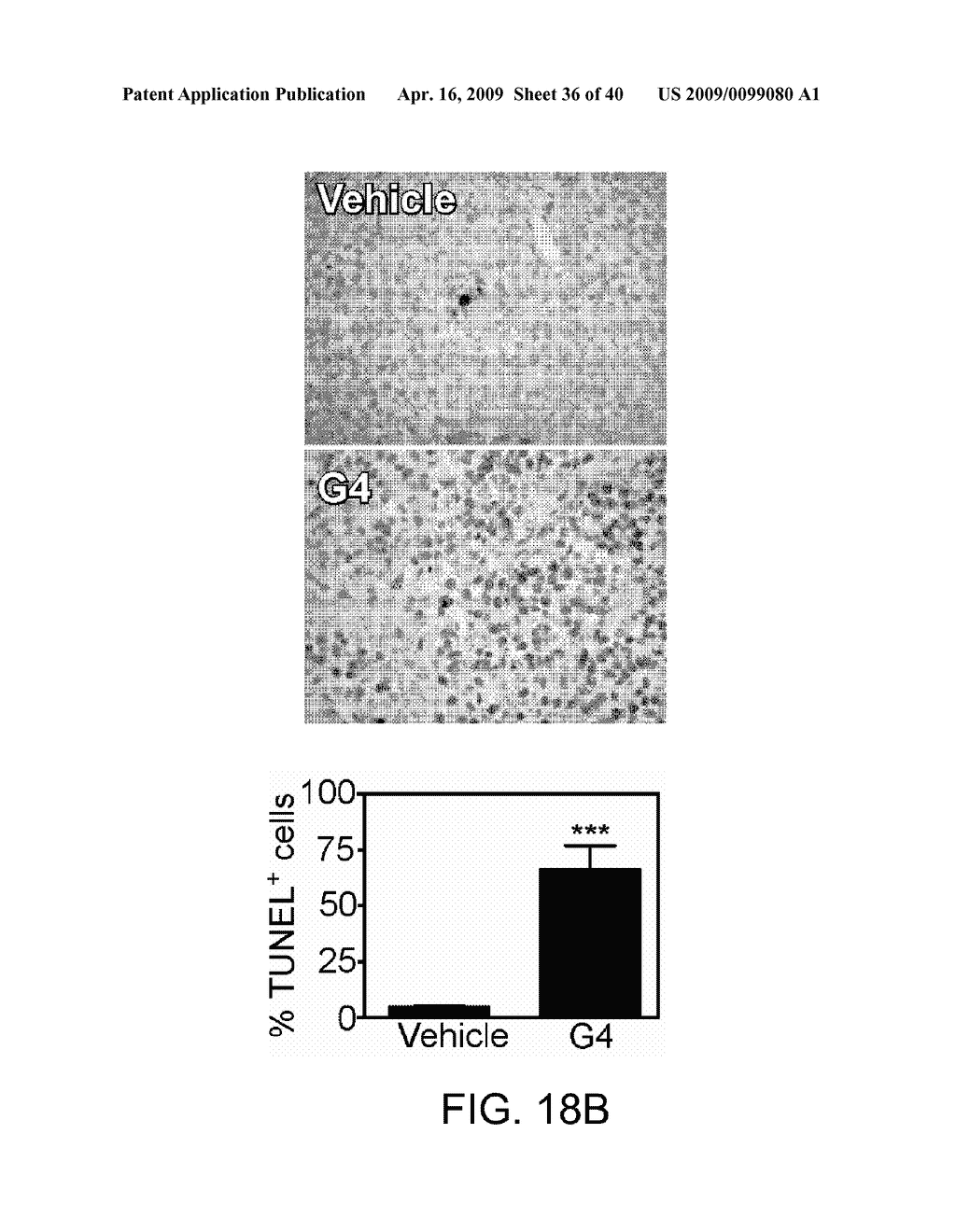 MITOCHONDRIA-TARGETED ANTI-TUMOR AGENTS - diagram, schematic, and image 37