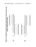 RNA INTERFERENCE MEDIATED INHIBITION OF MYOSTATIN GENE EXPRESSION USING SHORT INTERFERING NUCLEIC ACID (siNA) diagram and image