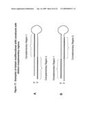 RNA INTERFERENCE MEDIATED INHIBITION OF MYOSTATIN GENE EXPRESSION USING SHORT INTERFERING NUCLEIC ACID (siNA) diagram and image