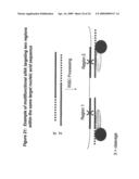 RNA INTERFERENCE MEDIATED INHIBITION OF MYOSTATIN GENE EXPRESSION USING SHORT INTERFERING NUCLEIC ACID (siNA) diagram and image