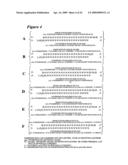 RNA INTERFERENCE MEDIATED INHIBITION OF MATRIX METALLOPROTEINASE 13 (MMP13) GENE EXPRESSION USING SHORT INTERFERING NUCLEIC ACID (siNA) diagram and image