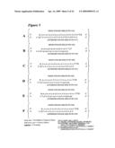 RNA INTERFERENCE MEDIATED INHIBITION OF MATRIX METALLOPROTEINASE 13 (MMP13) GENE EXPRESSION USING SHORT INTERFERING NUCLEIC ACID (siNA) diagram and image