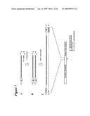 RNA INTERFERENCE MEDIATED INHIBITION OF MATRIX METALLOPROTEINASE 13 (MMP13) GENE EXPRESSION USING SHORT INTERFERING NUCLEIC ACID (siNA) diagram and image