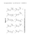 RNA INTERFERENCE MEDIATED INHIBITION OF MATRIX METALLOPROTEINASE 13 (MMP13) GENE EXPRESSION USING SHORT INTERFERING NUCLEIC ACID (siNA) diagram and image