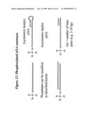 RNA INTERFERENCE MEDIATED INHIBITION OF MATRIX METALLOPROTEINASE 13 (MMP13) GENE EXPRESSION USING SHORT INTERFERING NUCLEIC ACID (siNA) diagram and image