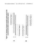 RNA INTERFERENCE MEDIATED INHIBITION OF MATRIX METALLOPROTEINASE 13 (MMP13) GENE EXPRESSION USING SHORT INTERFERING NUCLEIC ACID (siNA) diagram and image