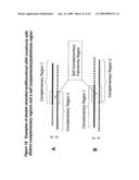 RNA INTERFERENCE MEDIATED INHIBITION OF MATRIX METALLOPROTEINASE 13 (MMP13) GENE EXPRESSION USING SHORT INTERFERING NUCLEIC ACID (siNA) diagram and image