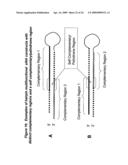 RNA INTERFERENCE MEDIATED INHIBITION OF MATRIX METALLOPROTEINASE 13 (MMP13) GENE EXPRESSION USING SHORT INTERFERING NUCLEIC ACID (siNA) diagram and image