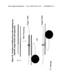 RNA INTERFERENCE MEDIATED INHIBITION OF MATRIX METALLOPROTEINASE 13 (MMP13) GENE EXPRESSION USING SHORT INTERFERING NUCLEIC ACID (siNA) diagram and image