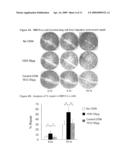 USE OF CpG OLIGODEOXYNUCLEOTIDES TO INDUCE EPITHELIAL CELL GROWTH diagram and image