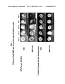 USE OF CpG OLIGODEOXYNUCLEOTIDES TO INDUCE EPITHELIAL CELL GROWTH diagram and image