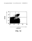 Polyomavirus Diagnostic Reagents diagram and image