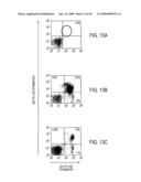 Polyomavirus Diagnostic Reagents diagram and image