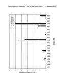 Polyomavirus Diagnostic Reagents diagram and image