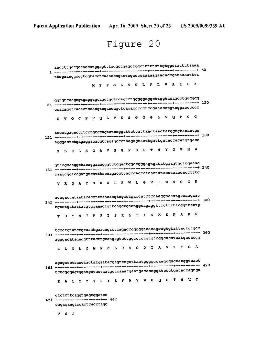 ANTIBODY AND ANTIBODY FRAGMENTS FOR INHIBITING THE GROWTH OF TUMORS - diagram, schematic, and image 21