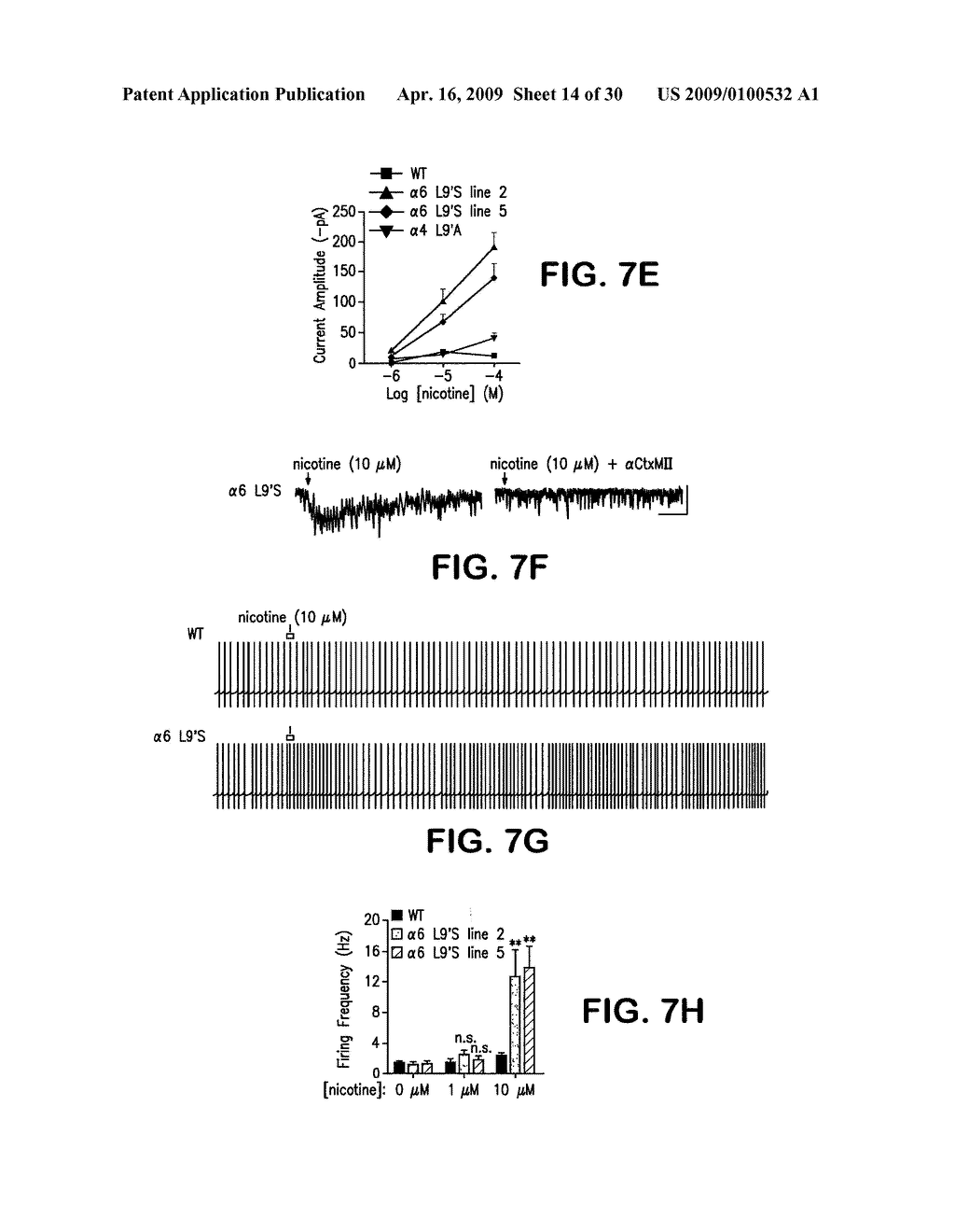 TRANSGENIC MICE EXPRESSING HYPERSENSITIVE NICOTINIC RECEPTORS - diagram, schematic, and image 15