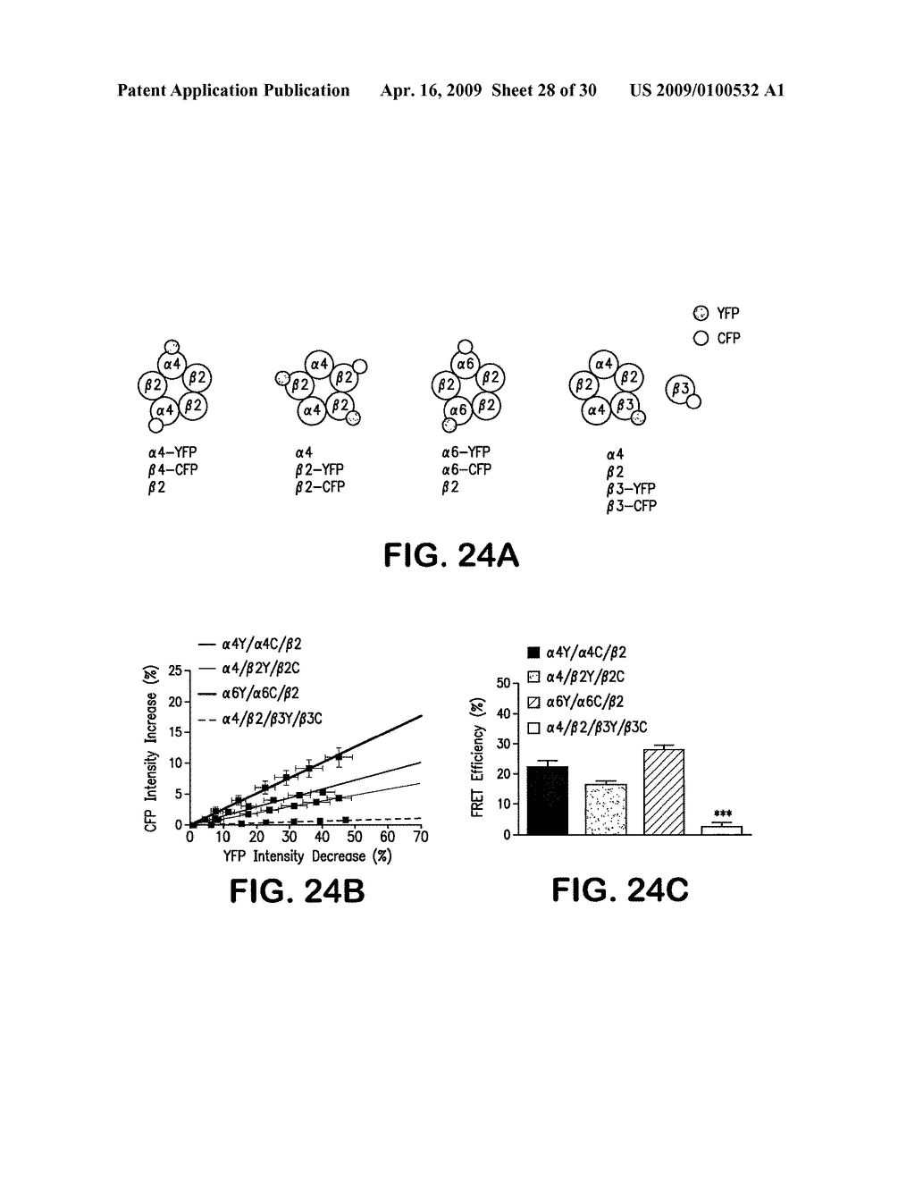 TRANSGENIC MICE EXPRESSING HYPERSENSITIVE NICOTINIC RECEPTORS - diagram, schematic, and image 29