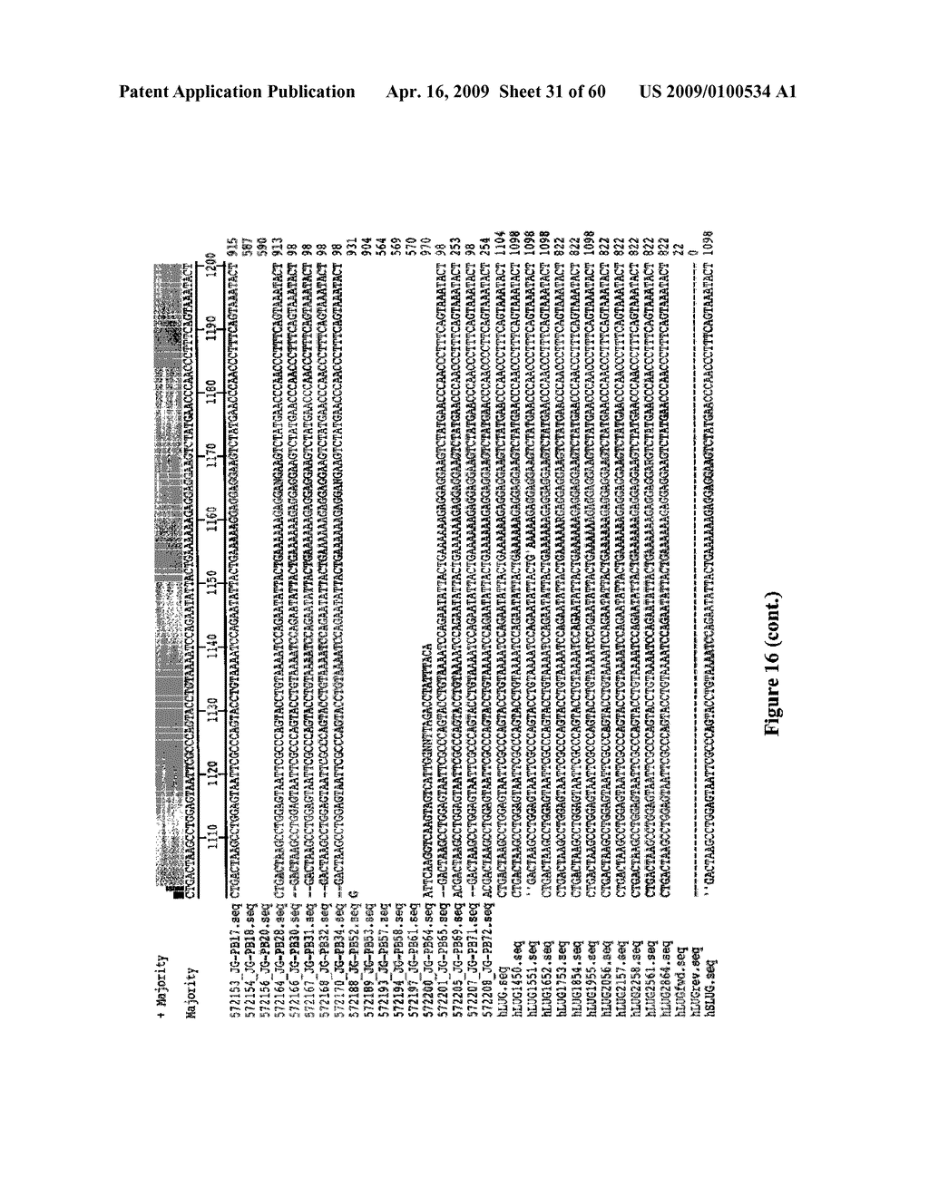 MUSCLE LAMIN A/C INTERACTING PROTEIN, GENE ENCODING SAME, AND USES THEREFOR - diagram, schematic, and image 32