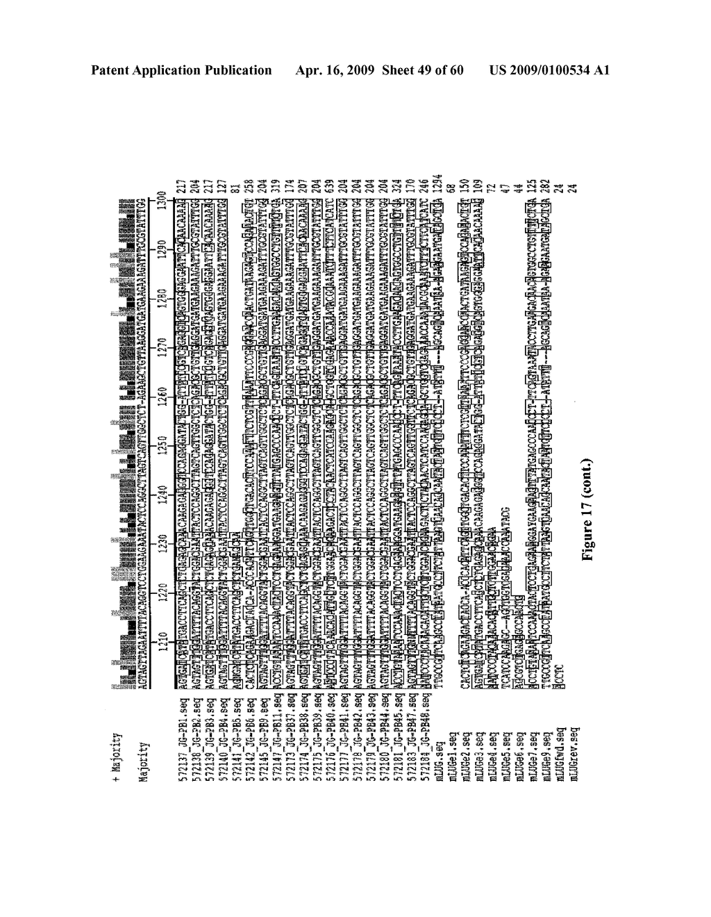 MUSCLE LAMIN A/C INTERACTING PROTEIN, GENE ENCODING SAME, AND USES THEREFOR - diagram, schematic, and image 50