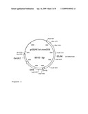 Promoter for epidermis-specific, pathogen-inducible transgenic expression in plants diagram and image