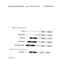 Promoter for epidermis-specific, pathogen-inducible transgenic expression in plants diagram and image