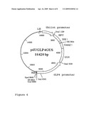 Promoter for epidermis-specific, pathogen-inducible transgenic expression in plants diagram and image