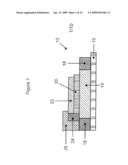 PROCESS FOR MANUFACTURING A PHOTOVOLTAIC OR A LIGHT EMITTING POLYMER DEVICE diagram and image