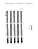 Image processing apparatus, image display and image processing method diagram and image