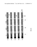 Image processing apparatus, image display and image processing method diagram and image