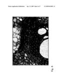 Separation of Spectrally Overlaid or Color-Overlaid Image Contributions in a Multicolor Image, Especially Transmission Microscopic Multicolor Image diagram and image