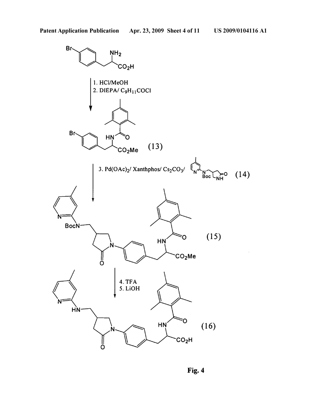 COMPOUNDS FOR THE INHIBITION OF INTEGRINS AND USE THEREOF - diagram, schematic, and image 05