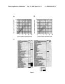 COMPOSITIONS FOR ENHANCING KERATINOCYTE MIGRATION AND EPIDERMAL REPAIR VIA A RECEPTOR CONTAINING OSMRBETA AS A SUBUNIT, AND APPLICATIONS THEREOF diagram and image