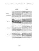 COMPOSITIONS FOR ENHANCING KERATINOCYTE MIGRATION AND EPIDERMAL REPAIR VIA A RECEPTOR CONTAINING OSMRBETA AS A SUBUNIT, AND APPLICATIONS THEREOF diagram and image