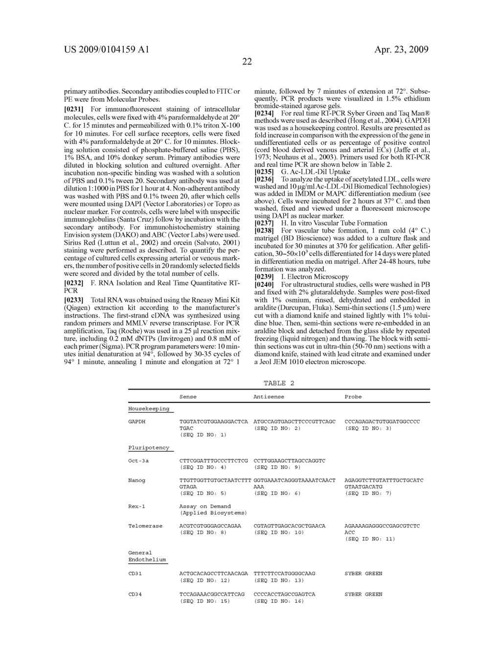 Vascular/Lymphatic Endothelial Cells - diagram, schematic, and image 42