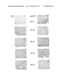 USE OF CASPASES FOR THE PREPARATION OF MEDICAMENTS diagram and image