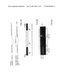 CD44 polypeptides, polynucleotides encoding same, antibodies directed thereagainst and method of using same for diagnosing and treating inflammatory diseases diagram and image