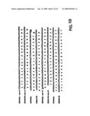 CD44 polypeptides, polynucleotides encoding same, antibodies directed thereagainst and method of using same for diagnosing and treating inflammatory diseases diagram and image