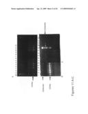 CD44 polypeptides, polynucleotides encoding same, antibodies directed thereagainst and method of using same for diagnosing and treating inflammatory diseases diagram and image