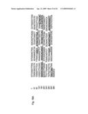 CD44 polypeptides, polynucleotides encoding same, antibodies directed thereagainst and method of using same for diagnosing and treating inflammatory diseases diagram and image