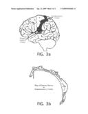 Bone microenvironment modulated migraine treatments diagram and image