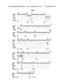 Antigenic polypeptide SE36 of malaria plasmodium, process for purification thereof, and vaccine and diagnostic agent using the antigen diagram and image