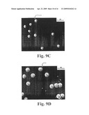 NIOBIUM OXIDE COMPOSITIONS, NANOSTRUCTURES, BIOACTIVE FORMS AND USES THEREOF diagram and image