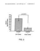 COMPOSITIONS AND METHODS FOR SIRNA INHIBITION OF ANGIOGENESIS diagram and image